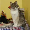 Отзыв от Вероника Скворцова